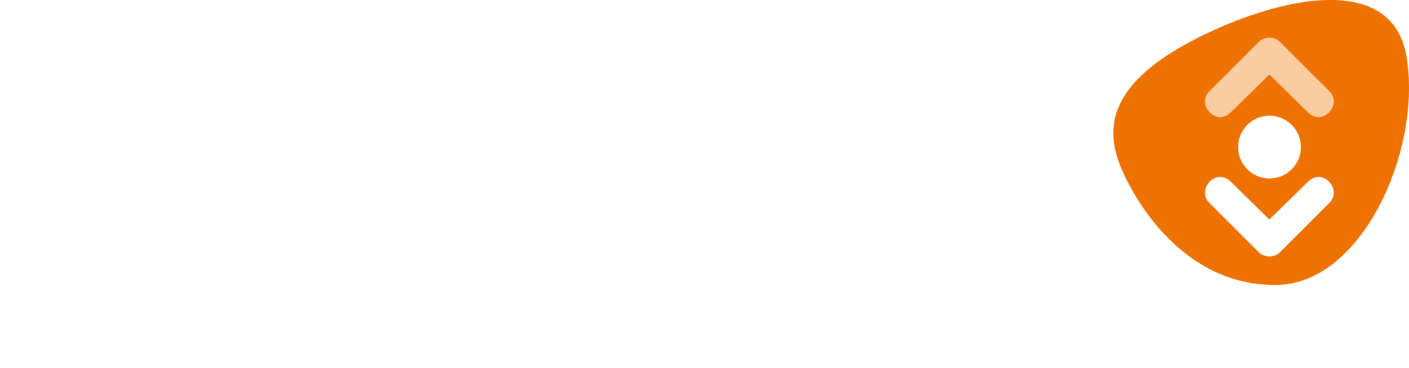 Logo_deBibliotheek_wit